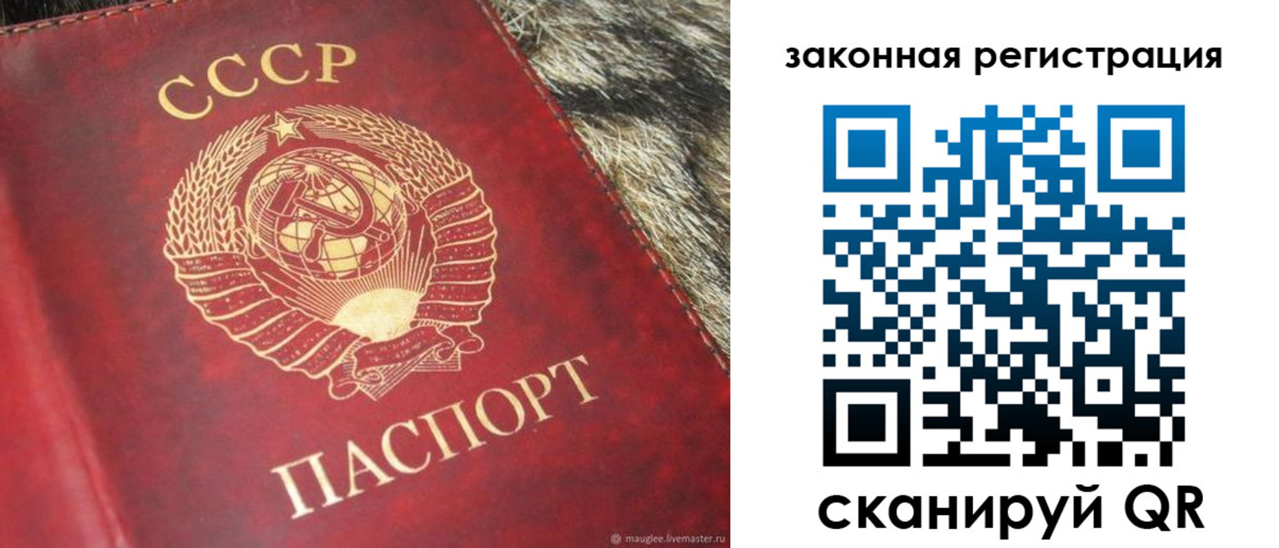 прописка от собственника в Сорочинске